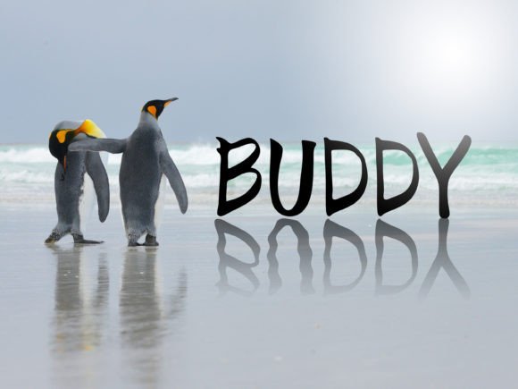 Buddy: A Handwritten Font for Memorable Marketing