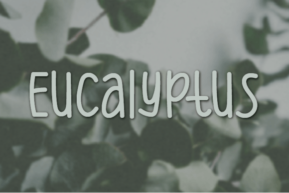Eucalyptus Font: A Handwritten Typeface for Editorial Elegance