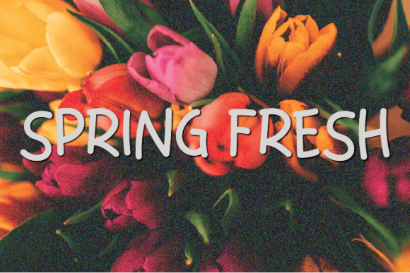 Spring Fresh: A Simple Font That Elevates Brand Design